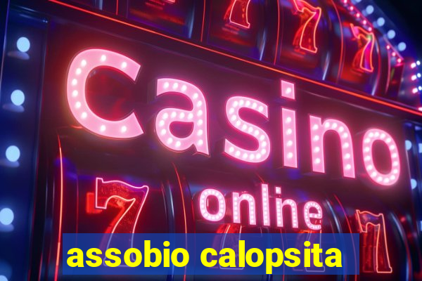 assobio calopsita