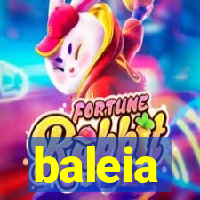 baleia-pg.com