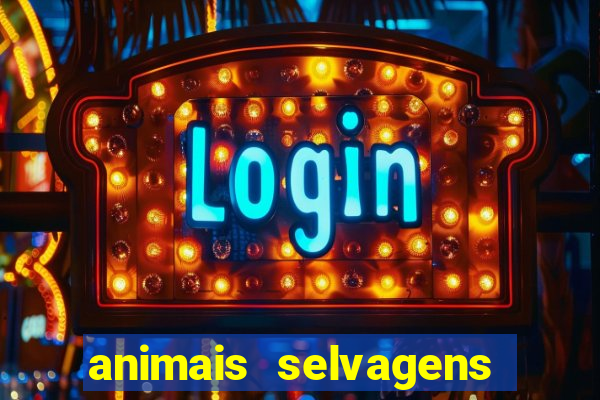 animais selvagens fotos e nomes