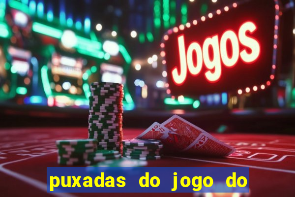 puxadas do jogo do bicho sueli