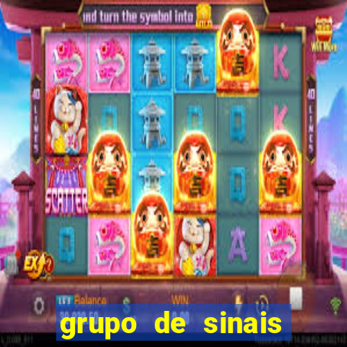 grupo de sinais fortune rabbit